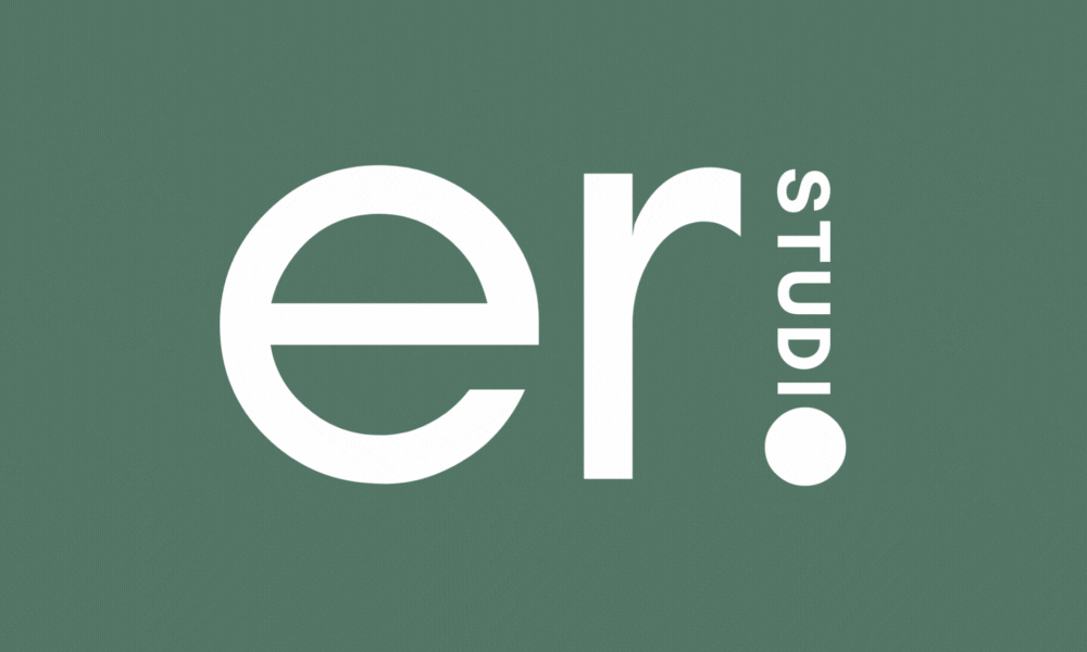 ER Studio graphisme